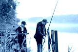 preview cold