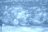 preview cold