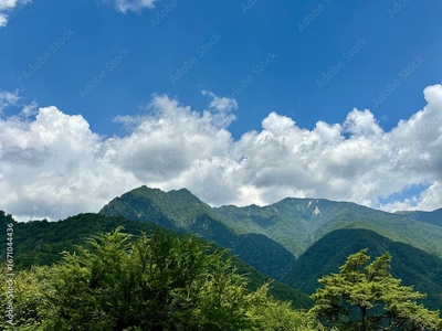 image to crop