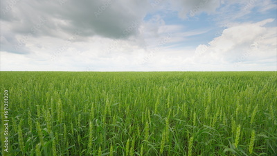 image to crop