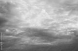 preview bw