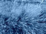 preview cold