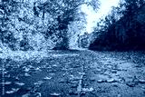 preview cold
