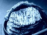 preview cold