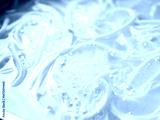 preview cold