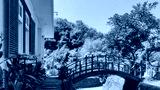 preview cold
