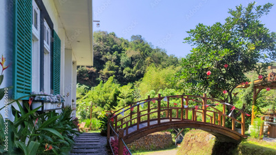 image to crop