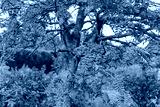 preview cold