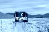 preview cold