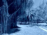 preview cold