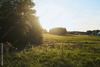 image to crop
