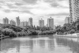preview bw