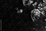 preview bw