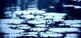 preview cold