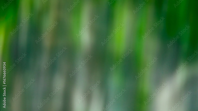 image to crop