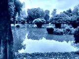 preview cold