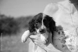 preview bw