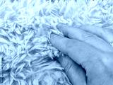 preview cold