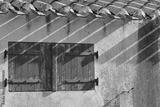 preview bw