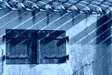 preview cold