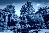 preview cold
