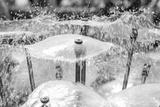 preview bw