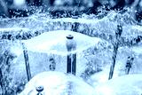 preview cold