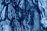 preview cold