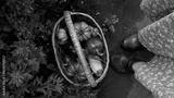 preview bw