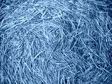 preview cold