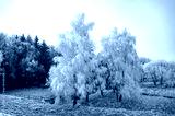 preview cold