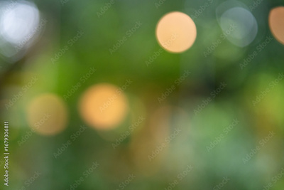 image to crop