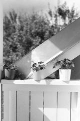 preview bw