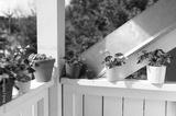 preview bw
