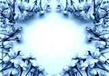 preview cold