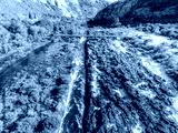 preview cold