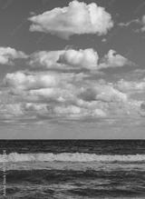 preview bw