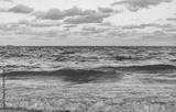 preview bw
