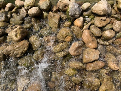 image to crop