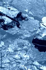 preview cold