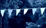preview cold