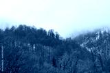 preview cold