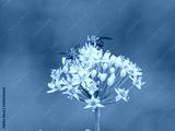 preview cold