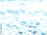 preview cold
