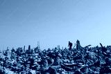 preview cold