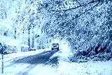 preview cold