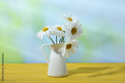 image to crop