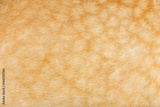 preview original