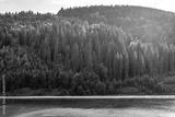preview bw