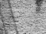 preview bw